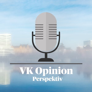 VK Opinion: Perspektiv