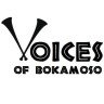 Voices of Bokamoso