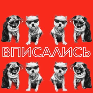 Вписались