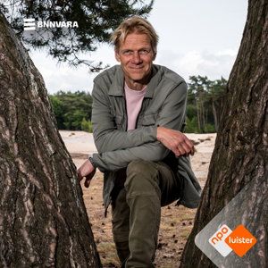 Vroege Vogels