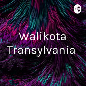 Walikota Transylvania 