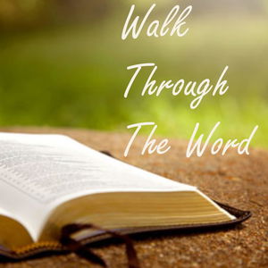 Walk Through The Word