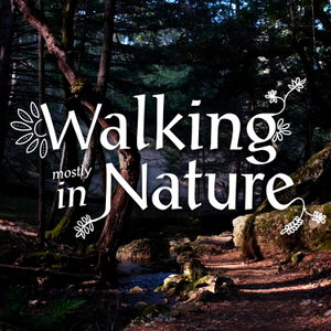 Walking in Nature: field recording, walking and talking
