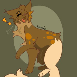 🎱✨ Warrior cats with Hazelbranch ✨🎱