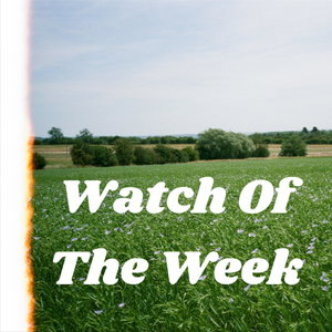 Watch Of The Week