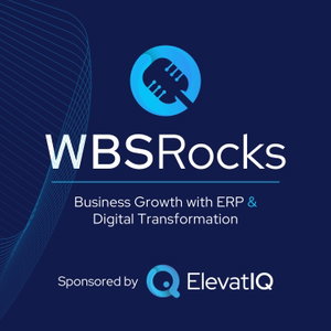 WBSRocks: Scaling Growth with AI, Enterprise Software, and Digital Transformation