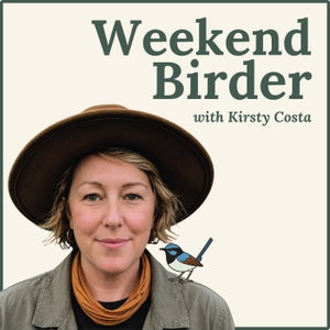 Weekend Birder