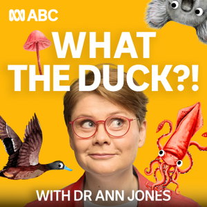 What The Duck?!