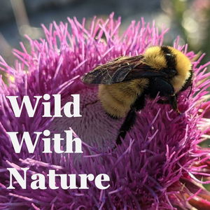 Wild With Nature