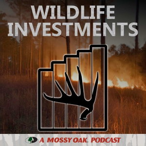 Wildlife Investments
