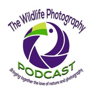 Wildlife Photography