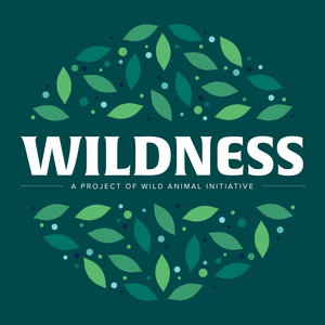 Wildness