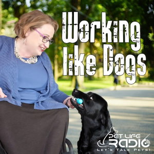 Working Like Dogs - Service Dogs and Working Dogs  - Pet Life Radio Original