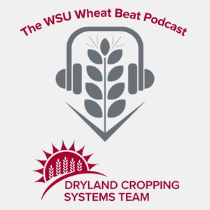 WSU Wheat Beat Podcast