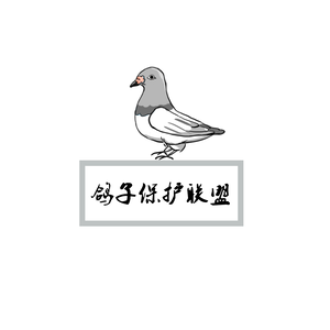 自说自话