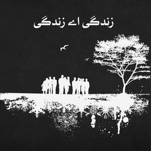زندگی اے زندگی