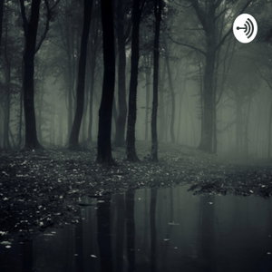 جنگل سیاه - Black Farest