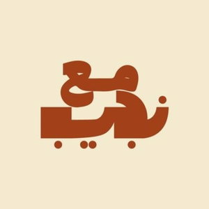 مع نجيب