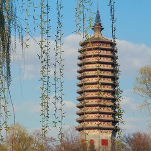 一起来学古诗词