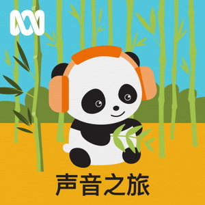声音之旅