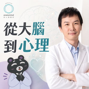 🧠從大腦到心理🫀