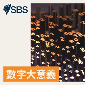 數字大意義