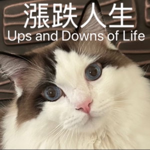 漲跌人生Ups and Downs of Life 