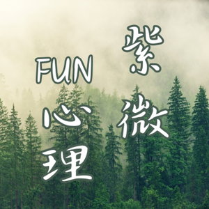 紫微FUN心理